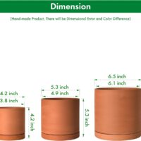 D'vine Dev Terracotta Pots for Plants, 4.2 Inch 5.3 Inch 6.5 Inch, Succulent Planter Pot with Drainage and Saucer, 40-T-A-0 - Image 4