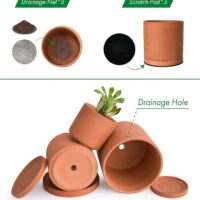 D'vine Dev Terracotta Pots for Plants, 4.2 Inch 5.3 Inch 6.5 Inch, Succulent Planter Pot with Drainage and Saucer, 40-T-A-0 - Image 3