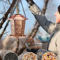 Solar Bird Feeders for Outdoors Hanging - Premium Grade Metal Bird Feeder, Chew-Proof, Weather and Water Resistant Wild Bird feeders, Outside and Garden Decoration-New - Image 3