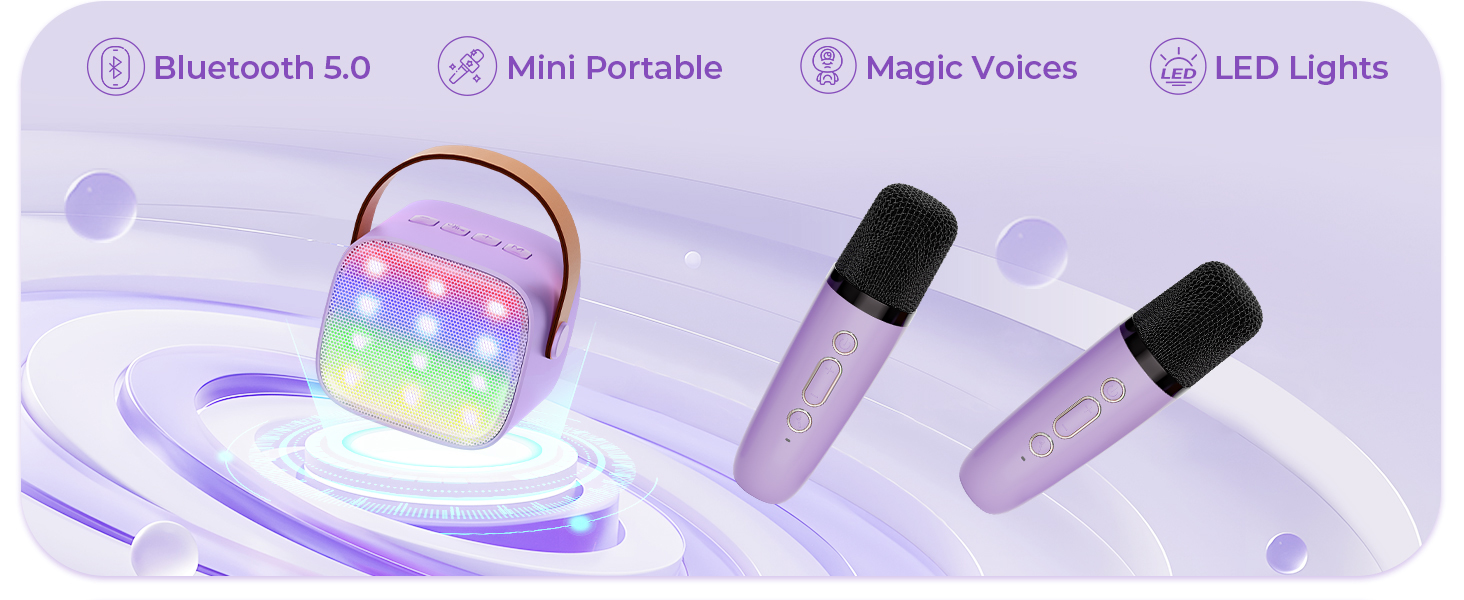 Duet Sing Microphones