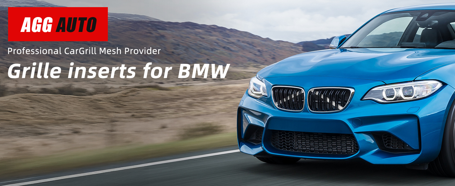 AGGAUTO grill inserts for BMW