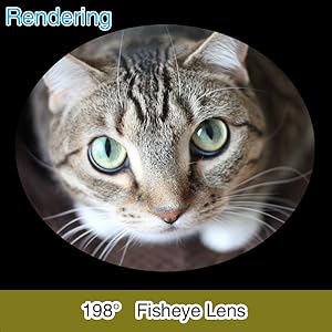 198° Fisheye Lens