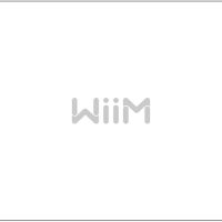 WiiM Ultra Music Streamer & Digital Preamp | 3.5" Touchscreen, Compatible with Google Cast & Alexa, Stream Spotify, Amazon Music, Tidal & More | HDMI ARC, Phono Input & Headphone Output | Space Gray - Image 10