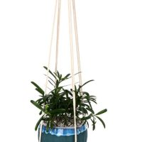 Wall mounted Woven Hanging Basket, Decorative Storage Hanging Basket for Doors, Wall Baskets Suitable for Living Rooms, Bedrooms and Kitchens DJA1999-02 - Image 2