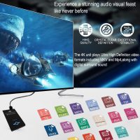 4K Ultra HD Media Player & HDD Enclosure 2-in-1 - Play H.265/HEVC H.264/AVC MP4 MKV Videos MP3 Music JPG Photos, 4K 60fps HDMI, Analog AV Etc,Supports 2"/2.5"/3" SATA HDDs with USB/SD Card Expansion - Image 3