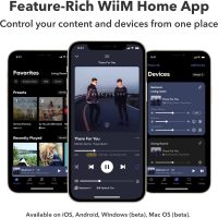 WiiM Ultra Music Streamer & Digital Preamp | 3.5" Touchscreen, Compatible with Google Cast & Alexa, Stream Spotify, Amazon Music, Tidal & More | HDMI ARC, Phono Input & Headphone Output | Space Gray - Image 4