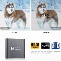 ByDiffer 4K Ultra HD Digital Media Player, TV MP4 Video Player for USB Drive/Micro SD Card, H.265/HEVC, Digital Signage, Auto Playback, HDMI/AV/Optical Output (Grey) - Image 2