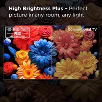 TCL 55-Inch Class Q65 QLED 4K Smart TV with Fire TV (55Q651F, 2024 Model), Dolby Vision, HDR PRO+, Dolby Atmos, Alexa Built-in with Voice Remote, Apple AirPlay 2 Compatibility, Streaming Television - Image 5