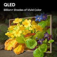 Hisense 55-Inch Class QLED 4K S7N CanvasTV Series Dolby Vision HDR Google Smart TV (55S7N) - 144Hz, Art Mode, Anti-Glare Panel, Hi-Matte Display, Frame & UltraSlim Wall Mount Included - Image 6