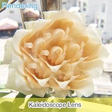Kaleidoscope Lens