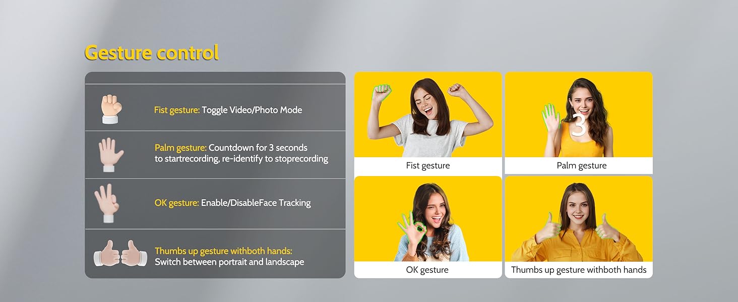 AI gesture recognition