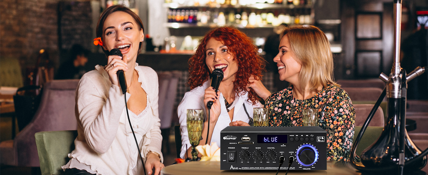 home amplifier with Karaoke