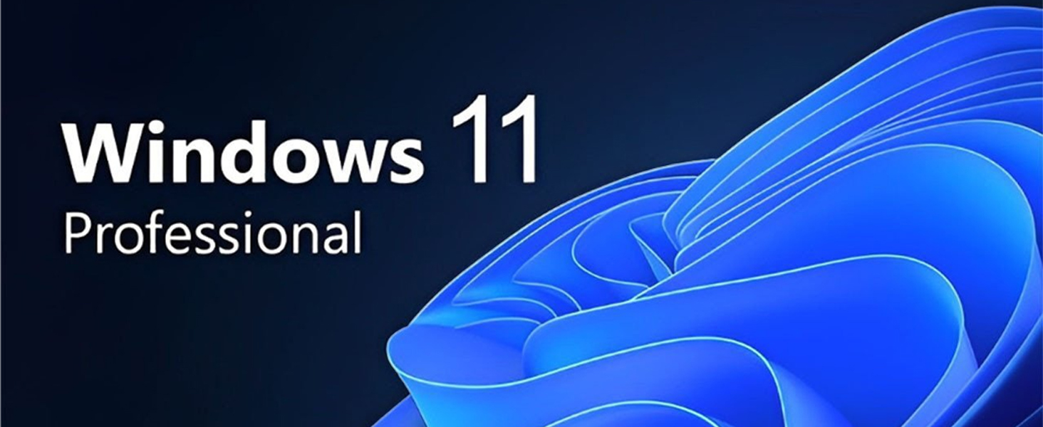 Windows 11 Pro