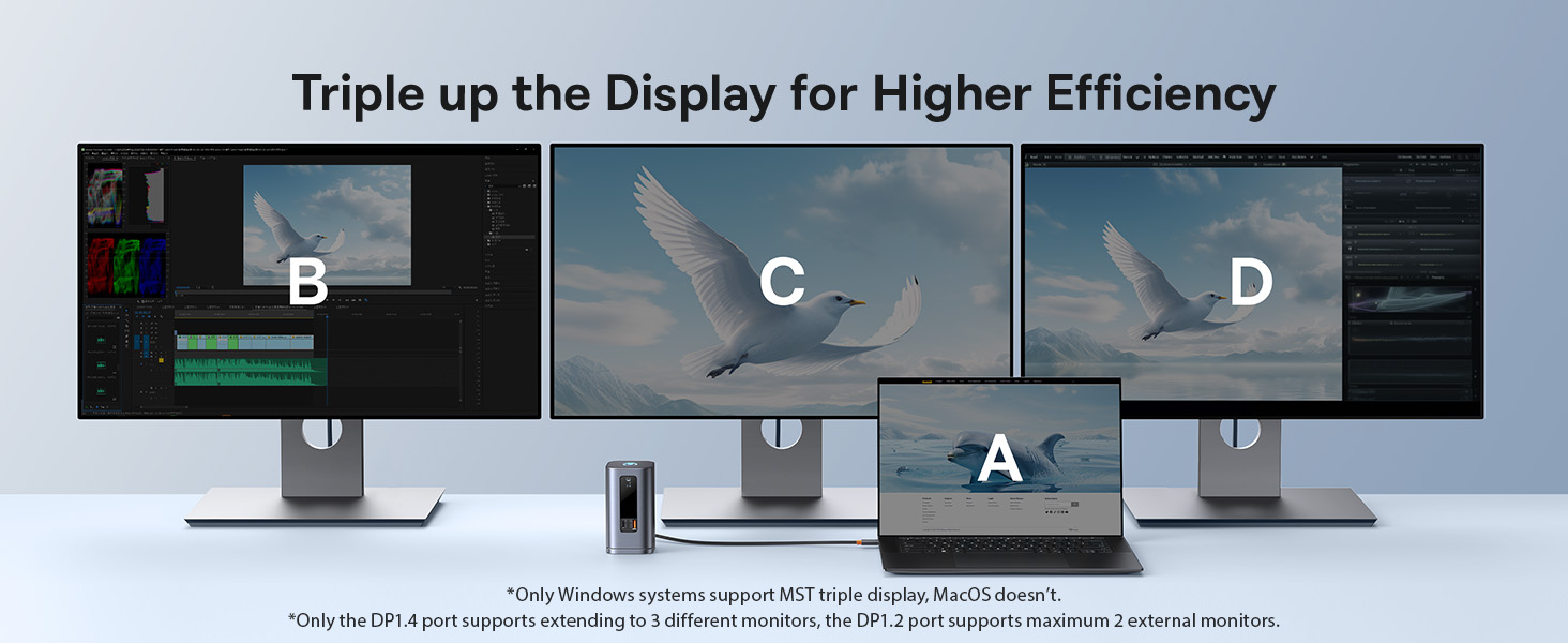 usb c docking station dual monitor