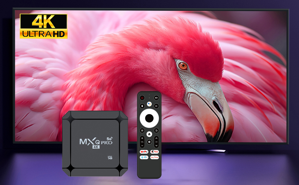 MXQ Pro 5G Android 14.0 ATV Box