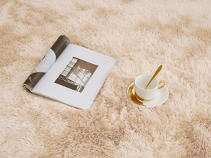 beige area rug