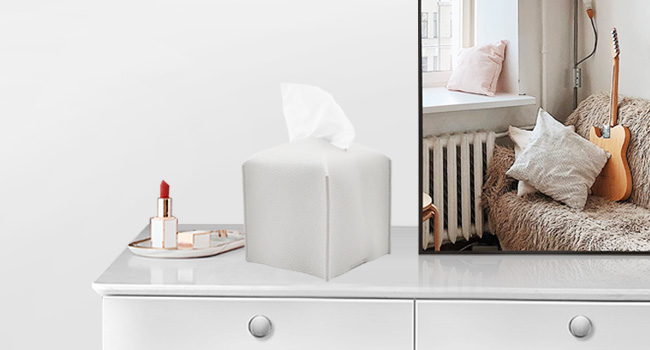 Distinctive decorative tissue box cover holder