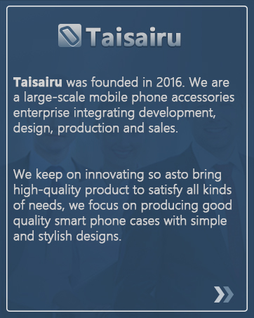 Taisairu case