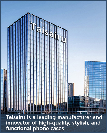 Taisairu case
