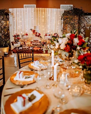 lights party decor