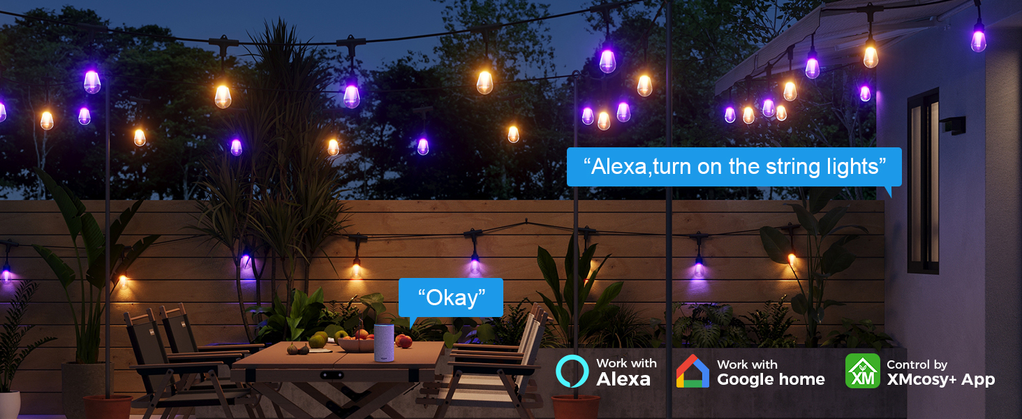 voice control outdoor patio lights