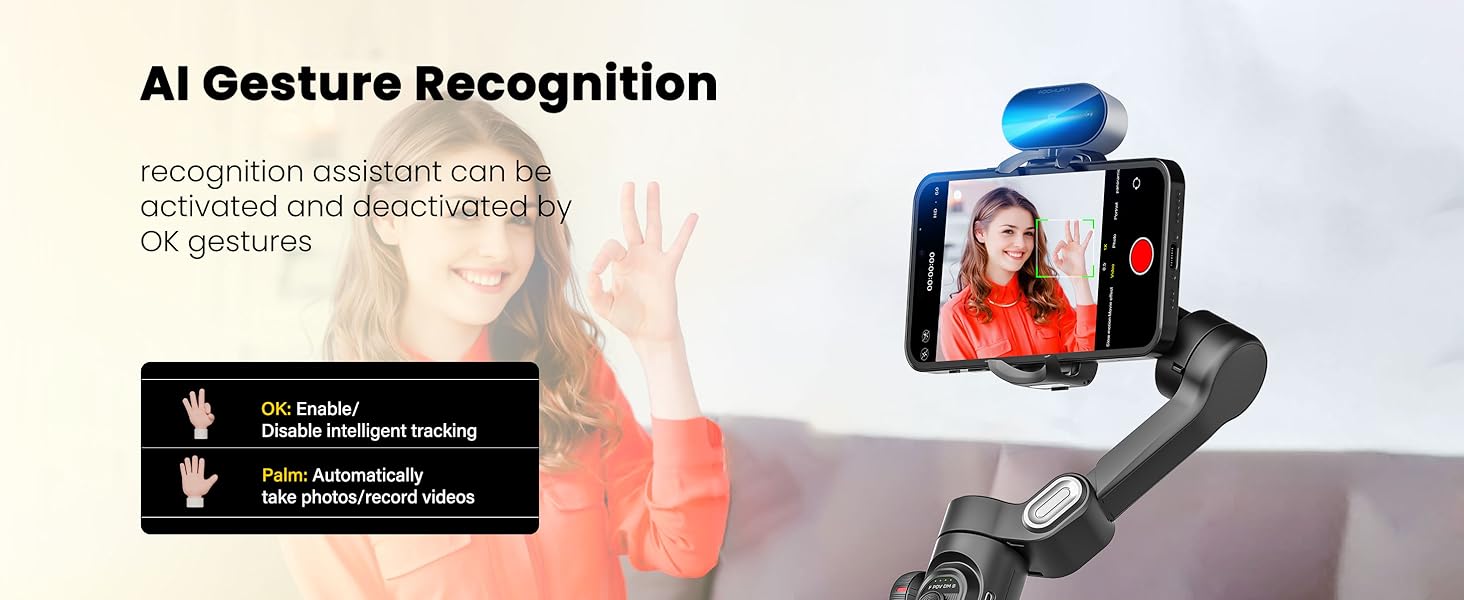 AI ​​Gesture Recognition   
