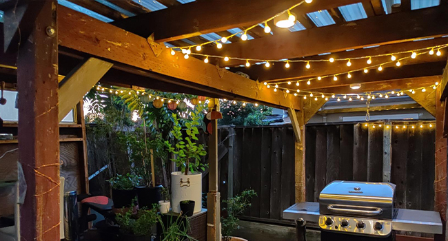 globe string lights outdoor