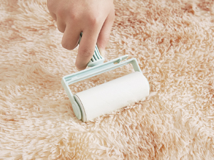 beige area rug