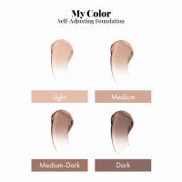 Jerome Alexander My Color Self-Adjusting Foundation, Hydrating & Lightweight Face Makeup, Skincare-Infused, with Kabuki Brush, Medium, 1 oz - Image 5
