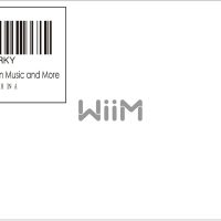 WiiM Mini AirPlay 2 Wireless Audio Streamer, Multiroom Stereo, Preamplifier, Works with Alexa and Siri Voice Assistants, Stream Hi-Res Audio from Amazon Music, Tidal and More - Image 11
