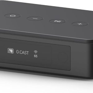 Arylic LP10 Wireless Music Streamer, Supports AirPlay 2, Apple Home and Spotify & Tidal Connect Multiple Streaming Options,5G WiFi and Bluetooth Preamplifier with App, Remote Control.