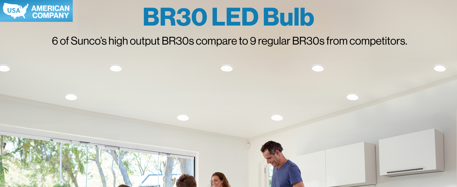 BR30 LED Bulb offers Modern and Sleek design with 11 watts, E26 Base and 110 beam angle. 