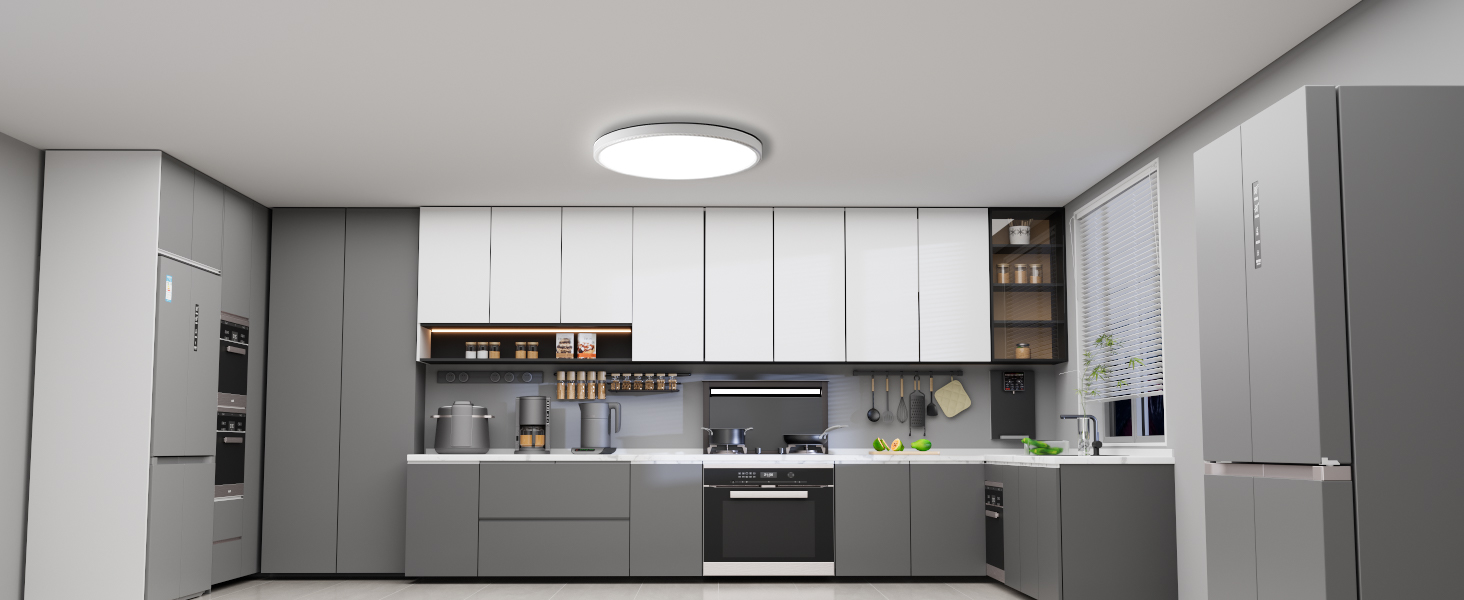 LED Ceiling Light