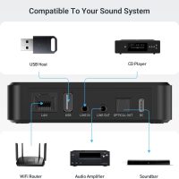 Arylic LP10 Wireless Music Streamer, Supports AirPlay 2, Apple Home and Spotify & Tidal Connect Multiple Streaming Options,5G WiFi and Bluetooth Preamplifier with App, Remote Control. - Image 4