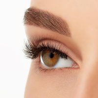 Ardell Naked Lashes 420 Multipack, Lightweight Natural Look, Invisiband for Comfort, Perfect for Everyday Wear, 4-Pairs, 1-Pack - Image 7