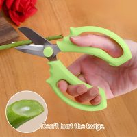 Garden Scissors Pruning Shears Garden Tools for Flowers, Branches and Leaves Gardening Hand Tools Thickened Stainless Steel Floral Shears - Image 2