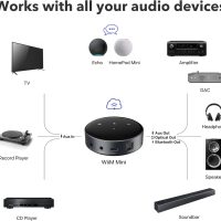 WiiM Mini AirPlay 2 Wireless Audio Streamer, Multiroom Stereo, Preamplifier, Works with Alexa and Siri Voice Assistants, Stream Hi-Res Audio from Amazon Music, Tidal and More - Image 3