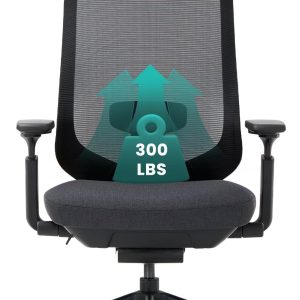 COLAMY Ergonomic Mesh Office Chair,High Back Computer Executive Desk Chair,Lumbar Support with Adjustable Headrest and 4D Arms, Slide Seat, Tilt Lock-Black