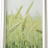 Tabletop Photo Frame - Plastic Composite Design for Home Decor (Silvery, 3.5X5) - Image 5