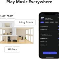 WiiM Mini AirPlay 2 Wireless Audio Streamer, Multiroom Stereo, Preamplifier, Works with Alexa and Siri Voice Assistants, Stream Hi-Res Audio from Amazon Music, Tidal and More - Image 8
