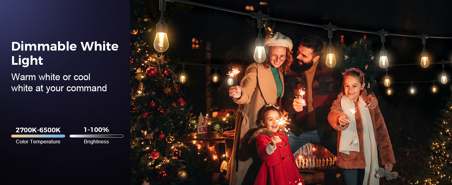 outdoor christmas lights