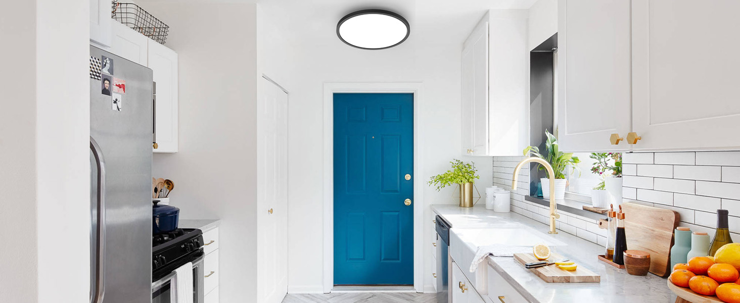 ceiling mount light