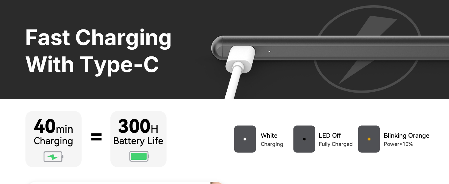 Stylus Pen