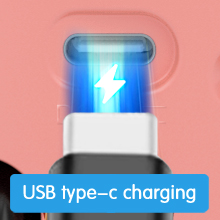 Type-C Fast Charging