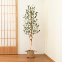 Kazeila Artificial Olive Tree 6FT Tall Faux Silk Plant for Home Office Decor Indoor Fake Potted Tree with Wood Branches and Fruits - Image 7