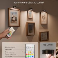 EZVALO Picture Lights for Wall, 2000mAh Rechargeable Battery Magnetic Poster Lights with 3 Color Temps & 12 RGB, Remote Dimmable Timer Painting Light, Wall Decor Light for Art Display, Frame (3 Pack) - Image 5
