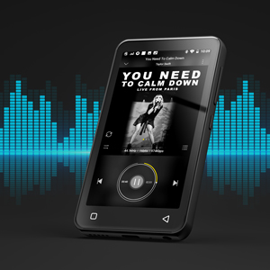 HiFi Lossless Sound
