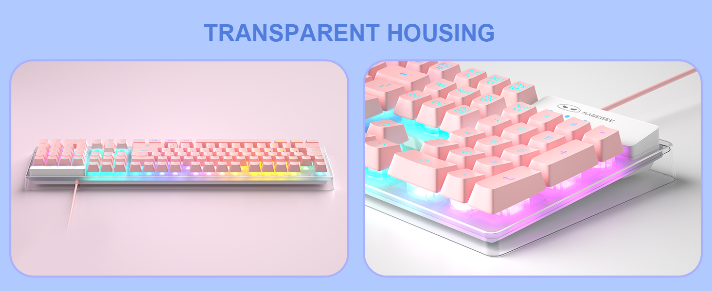 Transparent Housing