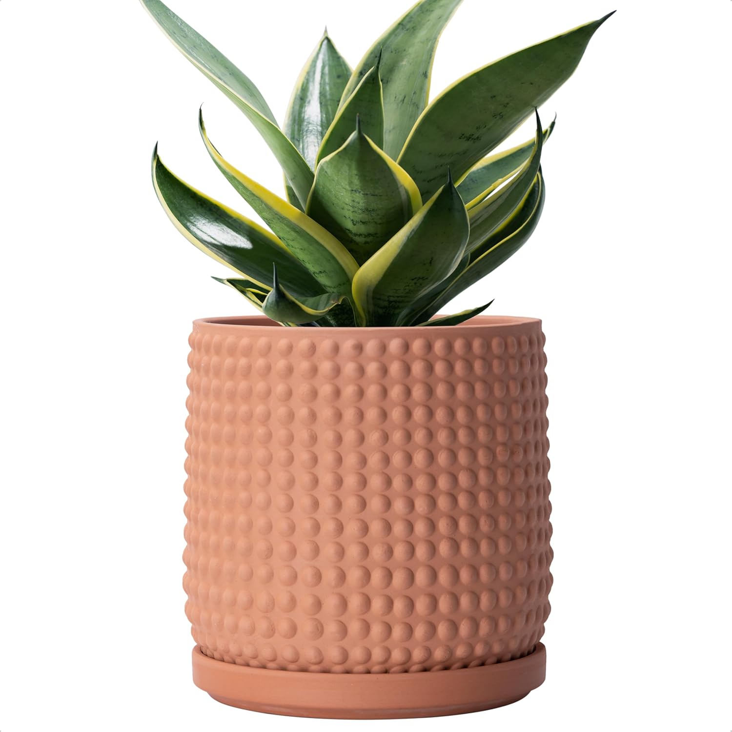 D’vine Dev 6 Inch Terracotta Beaded Planter Pot – Flower Pot with Drainage Hole and Saucer for Indoor Succulent Plants or Flowers, Terracotta, 27-C-X-7