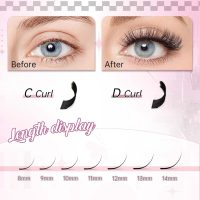 Premade Fans Eyelash Extensions 10D Lash Extensions Premade Fans 0.05 0.07 Thickness Pre Fanned Volume Lash Extensions C D Curl by FADLASH (10D-0.07-D, Mix 8-14mm) - Image 3